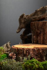 Fototapeta premium Composition with natural wood, moss and lichen for advertising eco products.