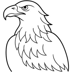 eagle vector illustration