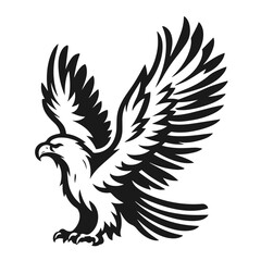A large wild bird eagle flies with outstretched wings. Vector drawing linear sketch isolated on white background.

