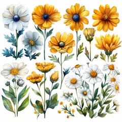 A watercolor drawing of yellow and white flowers in a field and garden. The image is hand-painted on white paper