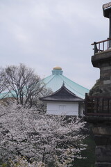 Fototapeta premium 日本、東京にある武道館と桜