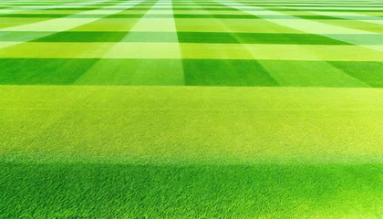 Foto op Canvas expansive green sports field under bright daylight, showcasing a detailed pattern of perfectly mowed stripes. © Henry