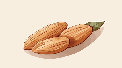 Dried almond with leaf .. 2d flat cartoon vactor illustration
