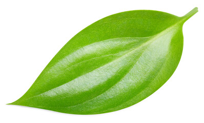 Green leaf isolated. Green leaves on white background with clipping path - 784400988