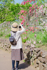 春の花を撮影する女性