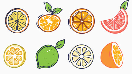 Vector flat citrus icon isolated outline. flat vector