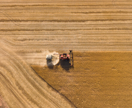 Above view of harvester towing chaff cart through crop