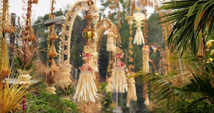 Bali village street is richly adorned with Penjors during celebration of Galungan. Sampian, handcrafted decorations made from natural materials hang on poles at entrance of each house, sway on wind