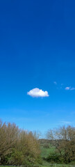 Fototapeta premium Blue sky background. Natural background. Panorama sky with tiny clouds