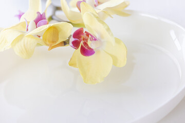 Yellow blooming orchid flowers on white plate. Elegant summer table décor, product display or design key visual layout. Mock up, close up
