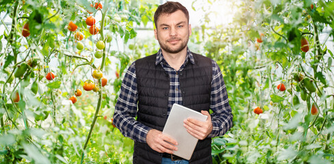 Man farmer stands in greenhouse of bio tomatoes and holding digital tablet in his hands.