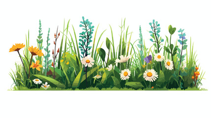 Grass plants and flowers in the meadow 2d flat cartoon