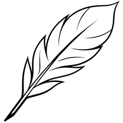 Obraz premium feather on white background. Line art kid's coloring page