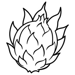 dragon fruit line art, drawing coloring book pages for children and adults