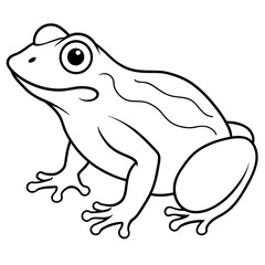 frog on a leaf line art, drawing coloring book pages for children and adults