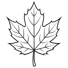 vector maple leaf simple line art icon, Children coloring book page