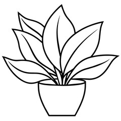 plant in a pot vector illustration. Children coloring book page