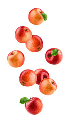 Falling Red apple isolated on white background, full depth of field © grey
