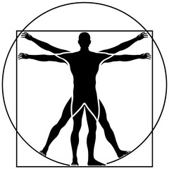 Vector Illustration Based on Leonardo da Vinci's Vitruvian Man. Concept of Ideal Proportions of the Human Body. Silhouette Style - obrazy, fototapety, plakaty