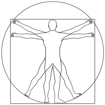 Vector Illustration Based on Leonardo da Vinci&rsquo;s Vitruvian Man. Concept of Ideal Proportions of the Human Body. Outline Style