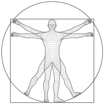 Vector Illustration Based on Leonardo da Vinci&rsquo;s Vitruvian Man. Concept of Ideal Proportions of the Human Body. 3D Mesh Style