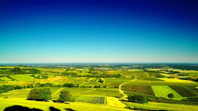 Green vineyards landscape in Pupillin commune, Jura wine region, Bourgogne-Franche-Comte in eastern France. View from viewing point Belvedere du vignoble.