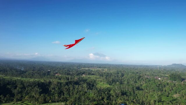 Red kite soars gracefully above lush green landscape, gently swaying from side to side as it approaches camera closely. This traditional pastime is beloved hobby among locals in rural areas of Bali