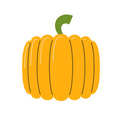 Pumpkin berry food ingredient and symbol of Halloween. Vector illustration
