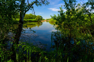 Punta Alberete nature reserve (Ravenna)
