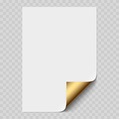Vector white realistic paper page mockup with golden corner curled.