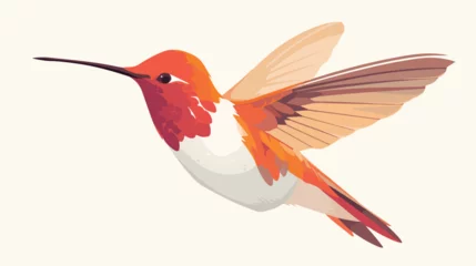 Fotobehang Kolibrie Hummingbird 2d flat cartoon vactor illustration isolated