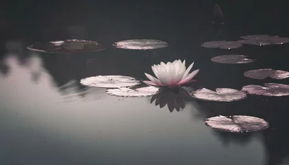Foto op Canvas Lily pads and water lilies floating on a serene pond surface, with a focus on the reflections in the water and the subtle movements of the aquatic plants. © patsai