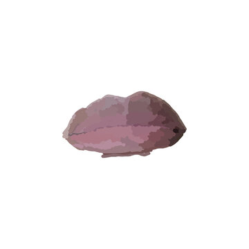 plumpy lip illustration - Dari Mitha