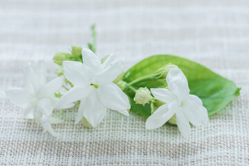 Beautiful Jasmine flower on the table - 784433379
