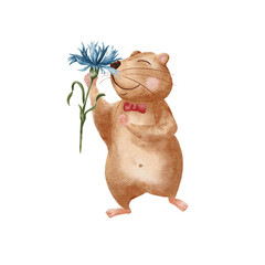 Watercolor hamster. Funny fat hamster isolated on white background. A hamster sniffs cornflowers. Illustration for nursery, stickers, greetings, postcards.