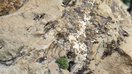 Natural stone texture