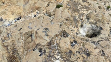 Rough natural stone surface with patterns