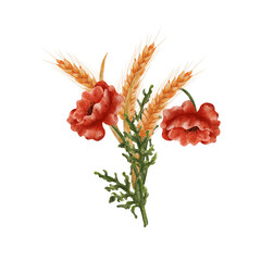 Ears of ripe wheat and red poppies. A bouquet, a composition of spikelets of grain and field poppies. Wheat isolated on white background. Design for sticker, label, postcard.
