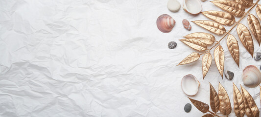 rustic seashell summer background with copy space. Extra wide banner