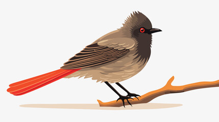 Indian Red vented bulbul red bottomed bird 2d flat