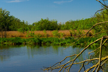 Punta Alberete nature reserve (Ravenna)