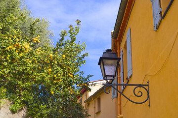  Lemon tree and old house in downtown in Menton, France