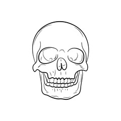Hand Drawn Skull Outline