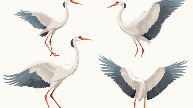 Japanese crane set. White oriental heron or stork b