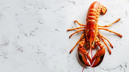 Fototapeten Top view of roasted lobster on a clean light background. Copy space, aesthetic restaurant template. Generative AI © AngrySun