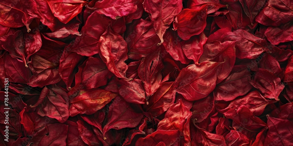 Poster a close-up image of a bunch of red leaves. suitable for nature backgrounds