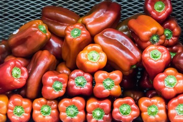 Colorful Bounty: Fresh Green, Red, Orange, and Yellow Bell Peppers Full Frame Background in 4K Photo