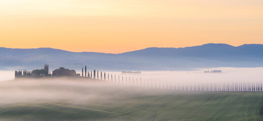 House surrounded by cypress trees among the misty morning sun-drenched hills of the Val d'Orcia...