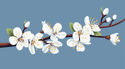 Macro shot of blackthorn prunus spinosa blossom in - obrazy, fototapety, plakaty