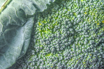 macro photography: broccoli - background, wallpaper